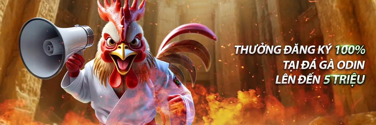 Đá Gà Trực Tuyến Bong88