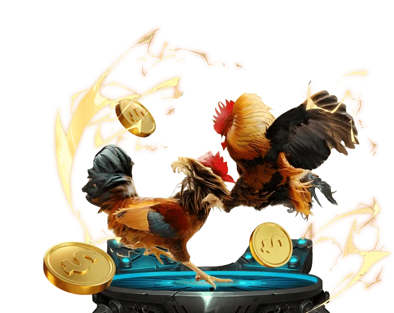 Biểu tượng cá cược có trách nhiệm và trách nhiệm người dùng bong88